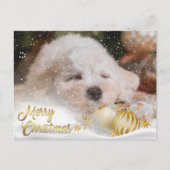 フォトメリークリスマススノーオーバーレイ予算金ゴールド シーズンポストカード (正面)