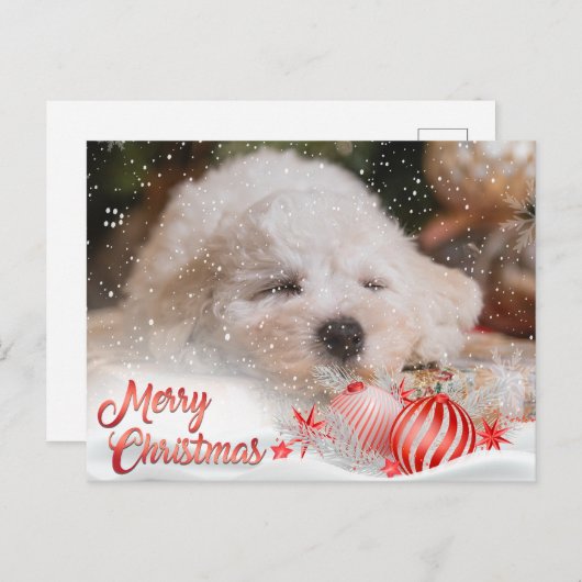 フォトメリークリスマススノーオーバーレイ予算 シーズンポストカード (正面/裏面)