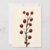 フォトメレカリキマカメリークリスマスハワイ シーズンカード (裏面)