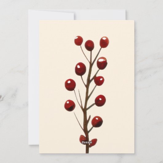 フォトメレカリキマカメリークリスマスハワイ シーズンカード (裏面)