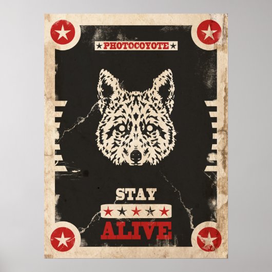 フォトヨーテポスター2014 3 ポスター (正面)