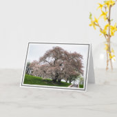 フォトライトピンクさくらんぼツリーと花びら付き カード (黄色い花)