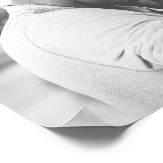 フォトランドスケープのポスター ポスター (角)