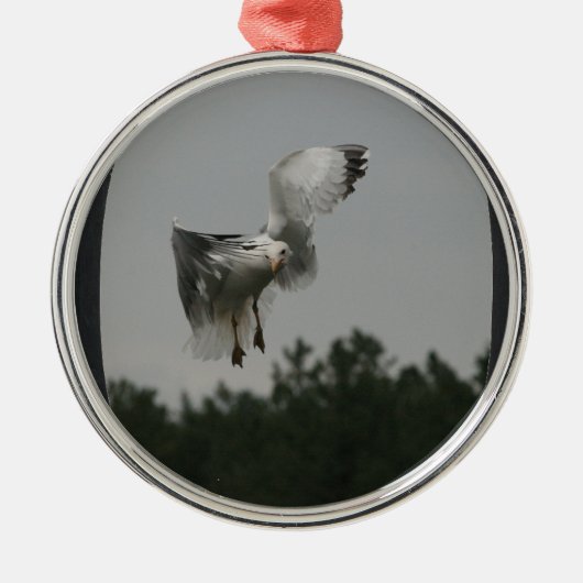 フォトラージオーバルフレームを追加(黒) メタルオーナメント (正面)