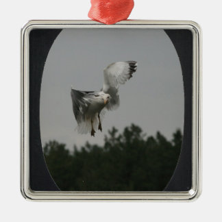 フォトラージオーバルフレームを追加（黒） メタルオーナメント