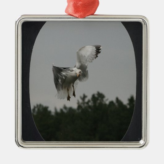 フォトラージオーバルフレームを追加(黒) メタルオーナメント (正面)