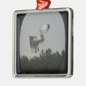 フォトラージオーバルフレームを追加(黒) メタルオーナメント (左)