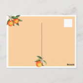 フォトリトルかわいこちゃんオレンジ1st誕生日招待状 ポストカード (裏面)