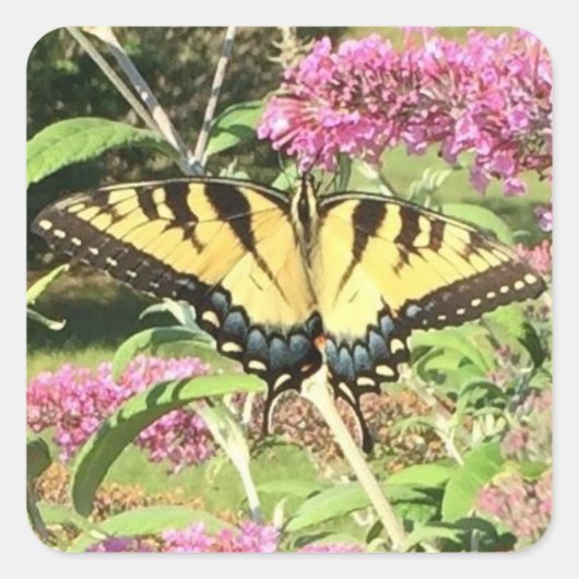 フォト封筒用シールのパーソナライズされた追加 スクエアシール (正面)