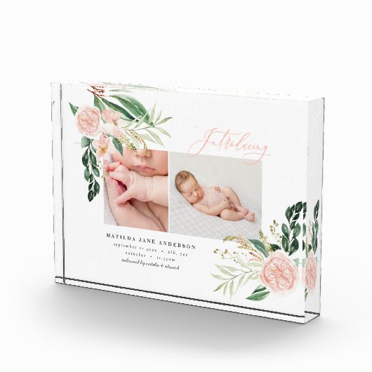 フォト数々の赤面ピンクフローラ誕生 フォトブロック (右)