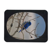 フォト楕円フレームを追加（黒） マグネット (横)