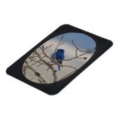 フォト楕円フレームを追加（黒） マグネット (左側)