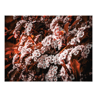 フォト測定紙 フォトプリント           