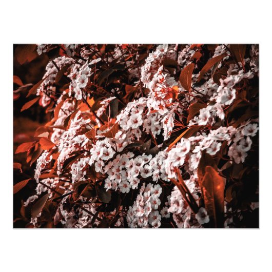 フォト測定紙 フォトプリント            (正面)