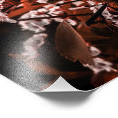 フォト測定紙 フォトプリント            (角)