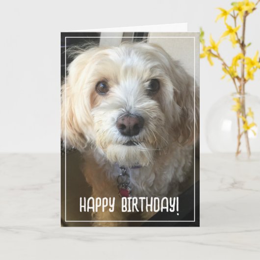 フォト誕生日カード カード (黄色い花)