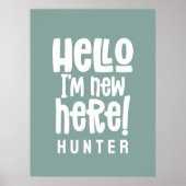 フォト赤面ピンクフローラの紹介エレガント ポスター (正面)