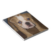 フォトTe、メモ帳 ノートパッド (アングル)