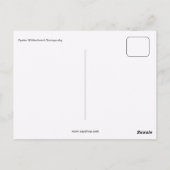 フォドルミハイロヴィッチドストイエフスキー ポストカード (裏面)