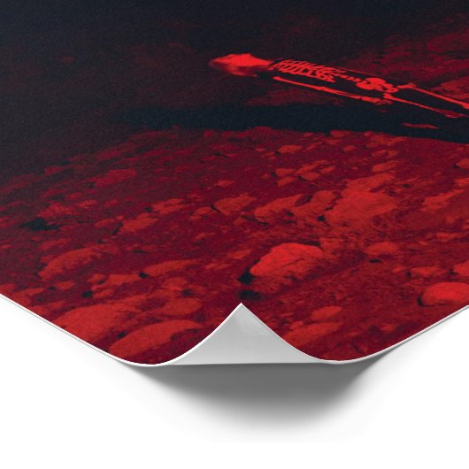 フォビー ポスター (角)