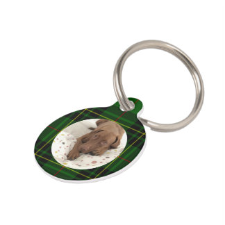 フォベカスタマイズスタータンチェックグリーンドッグ ペット　ネームタグ