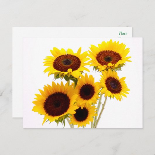 フォラルヒマワリ黄色の花 – 愛恋しく思,あなた ポストカード (正面/裏面)