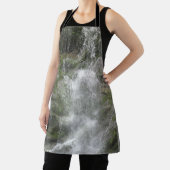 フォリヨン国立公園のラシュートウォーターフォール エプロン (インサイチュ)