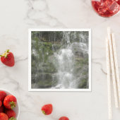 フォリヨン国立公園のラシュートウォーターフォール スタンダードカクテルナプキン (インサイチュ)