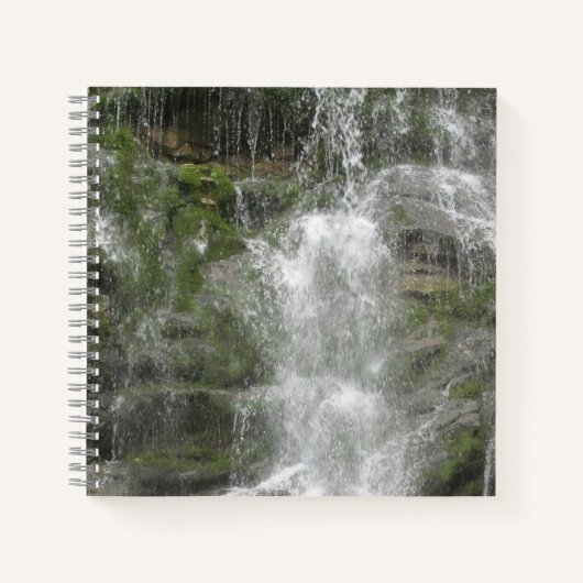 フォリヨン国立公園のラシュートウォーターフォール ノートブック (正面)