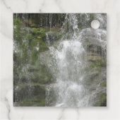 フォリヨン国立公園のラシュートウォーターフォール フェイバータグ (裏面)