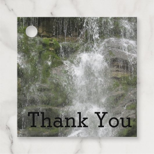 フォリヨン国立公園のラシュートウォーターフォール フェイバータグ (正面)