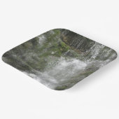 フォリヨン国立公園のラシュートウォーターフォール ペーパープレート (傾斜あり)