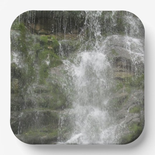 フォリヨン国立公園のラシュートウォーターフォール ペーパープレート (正面)