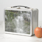 フォリヨン国立公園のラシュートウォーターフォール メタルランチボックス (インサイチュ)