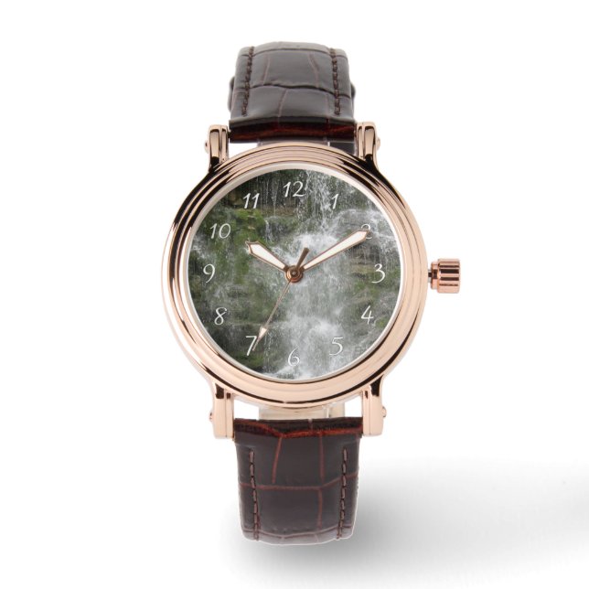 フォリヨン国立公園のラシュートウォーターフォール 腕時計 (正面)