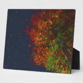 フォリングレインボー写真プラーク フォトプラーク (側面)