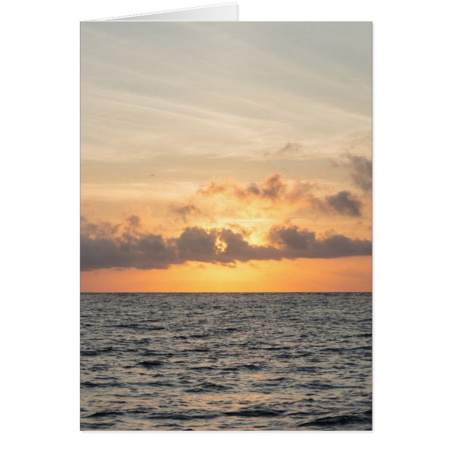 フォリービーチ朝 (正面)