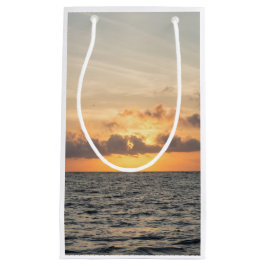 フォリービーチ朝 スモールペーパーバッグ