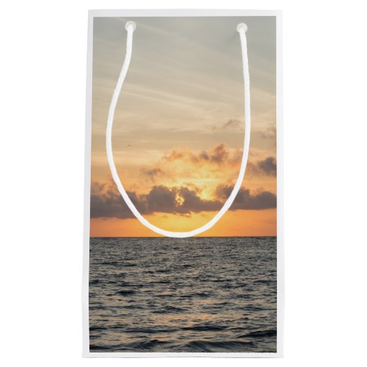 フォリービーチ朝 スモールペーパーバッグ (正面)