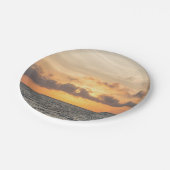 フォリービーチ朝 ペーパープレート (アングル)