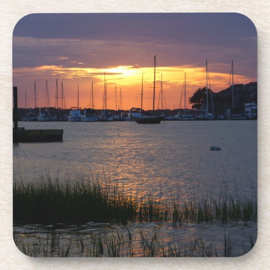 フォリーリバーサンセット コースター (正面)