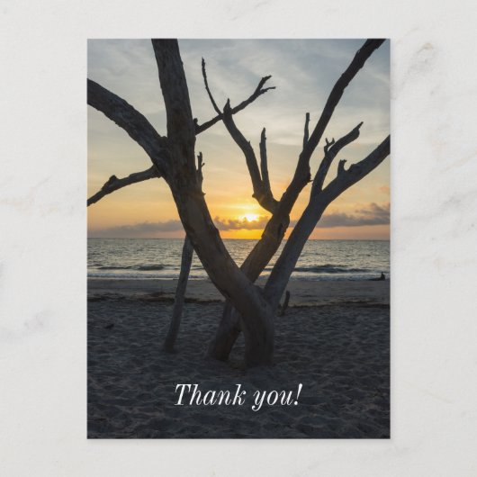 フォリー・サンライズ ポストカード (正面)