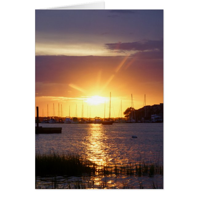 フォリー・リバー・サンレイズ (正面)