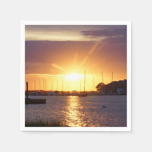 フォリー・リバー・サンレイズ スタンダードカクテルナプキン (正面)