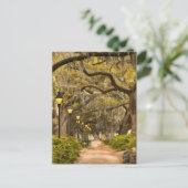 フォルシスパーク-フォト、サバンナ、ジョージア(GA) USA ポストカード (スタンド正面)