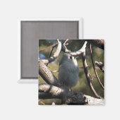 フォルダーzazz 1 012 マグネット (正面/裏面)