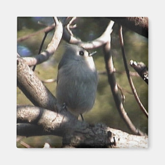 フォルダーzazz 1 012 マグネット