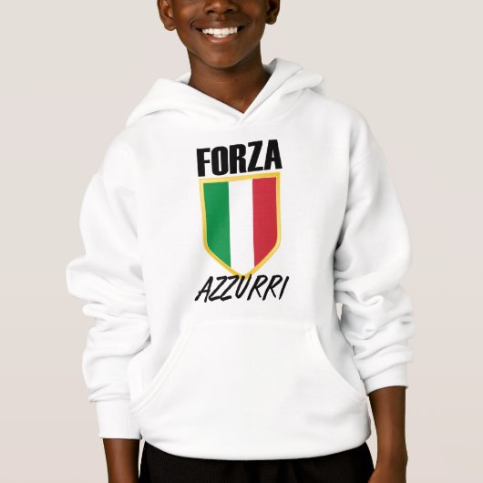 フォルツァアズーリイタリア国旗のサッカー (正面)