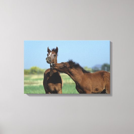 フォル遊ス2 キャンバスプリント (正面)