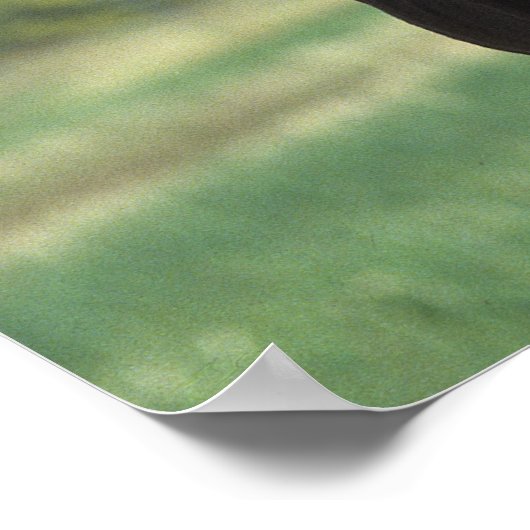 フォル遊ス2 ポスター (角)